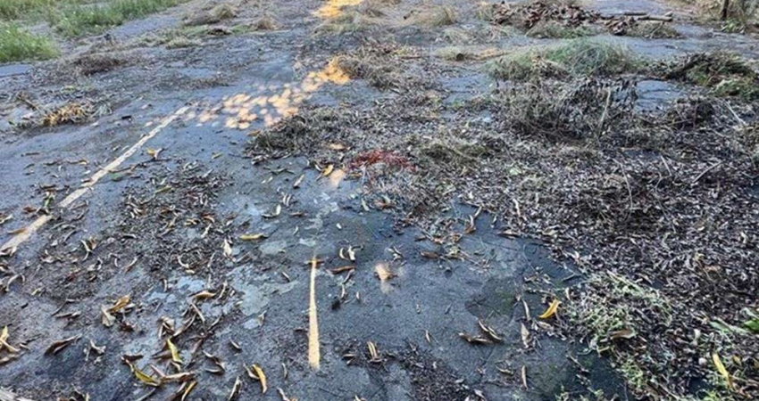 Terreno comercial para alugar no Parque 10 de Novembro, Manaus 