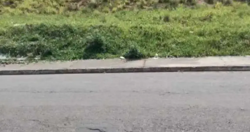 Oportunidade, dois terrenos um ao lado do outro com valor abaixo de mercado