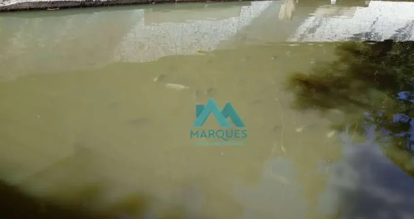 Lindo Sitio, com tanque de Peixe, piscina, 6500m², estuda troca com casa ou ap