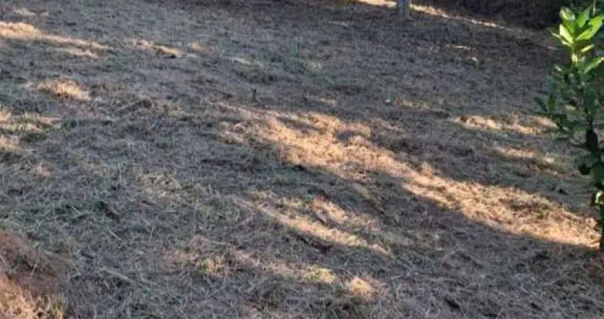 Terreno à venda na Vila Velha II, Taubaté 