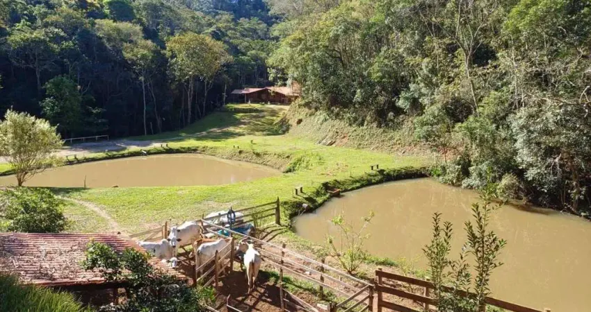 Casa com 3 quartos à venda na Paraibuna, 1000, Morro Azul, Paraibuna