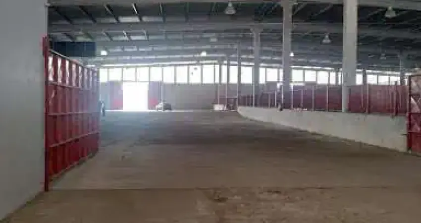 Excelente Galpão com 7000m² de área construída e 145.000m² de terreno de Frente para Via Dutra