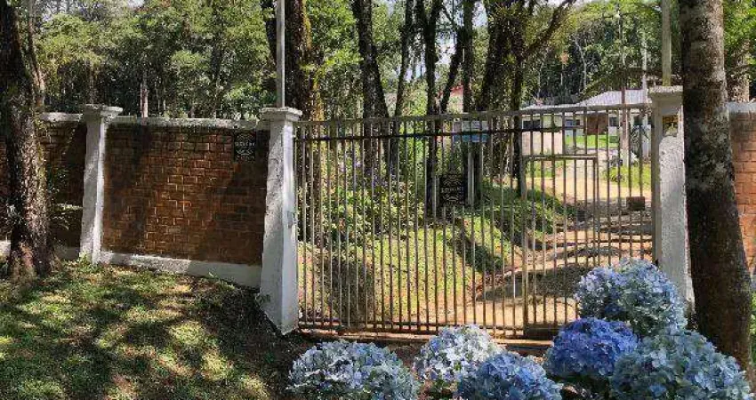 Terreno à venda, 2500 m² por r$ 890.000,00 - campininha - quatro barras/pr