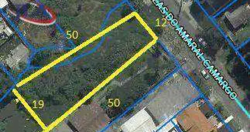 Terreno zr-4 à venda, 775m² por r$ 625.000 - tingui - curitiba/pr