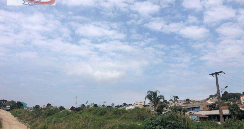 Terreno à venda, 2600 m² por R$ 2.000.000,00 - Rio Verde - Colombo/PR