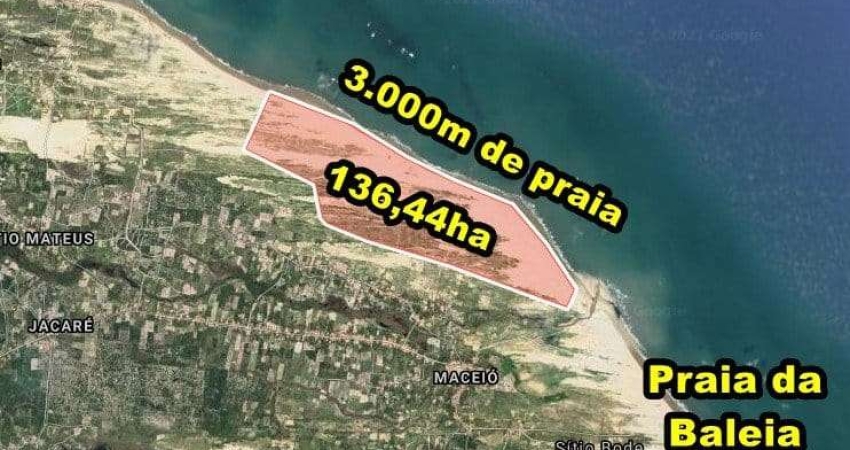 VERAS VENDE Tereno com 136,44ha  em Itapipoca-CE, próximo a
