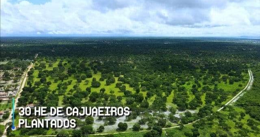 VERAS VENDE FAZENDA 200ha EM CHOROZINHO