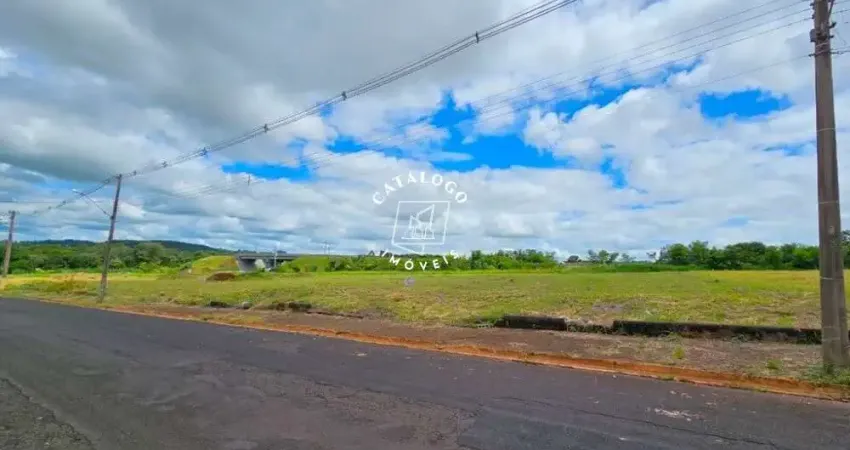 Terreno à venda na Avenida Professor Mário Autuori, City Ribeirão, Ribeirão Preto