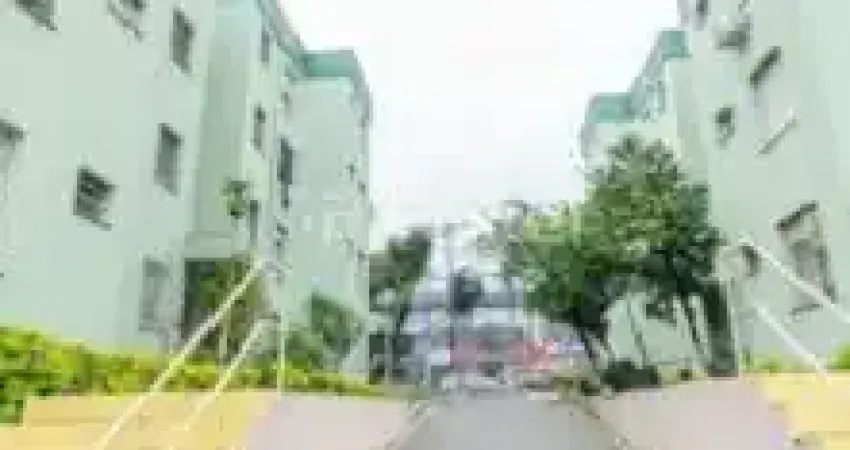 Ótimo apartamento térro no morro santana. imóvel desocupado