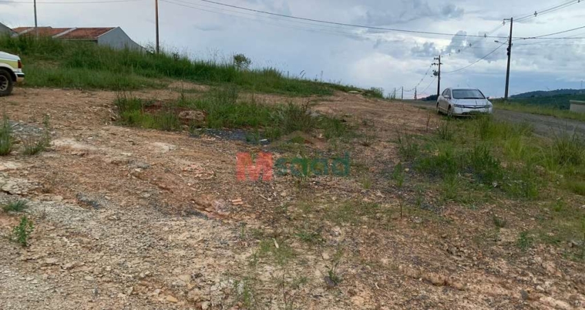 Terreno à venda na Rua ArnoldO Niesing, 642, Piriquitos, Ponta Grossa