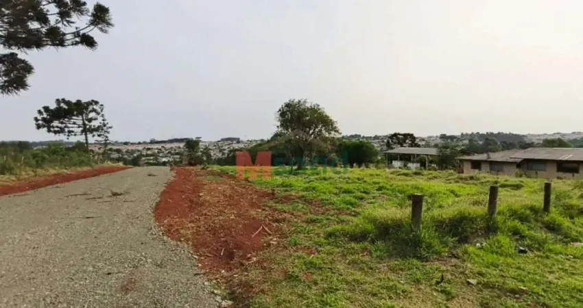 Terreno à venda na Rua José Koteski, 01, Cará-cará, Ponta Grossa
