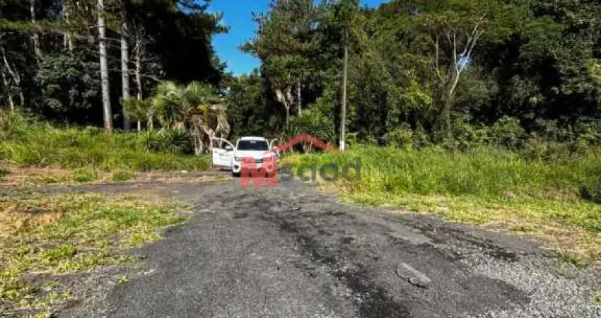 Chácara / sítio com 5 quartos para alugar na Rodovia BR-373, KM 190, Uvaia, Ponta Grossa