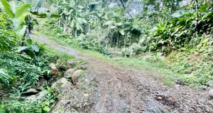 Terreno à venda no Moura, Canelinha 