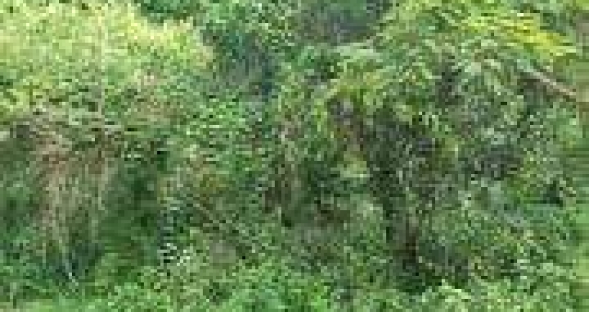Terreno de 3.840m² à venda na Reserva Sapiranga, na Praia do Forte: sua oportunidade de investimento único!