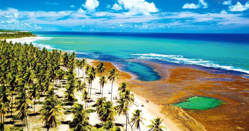 Terreno em Condomínio na Praia do Forte, 630m², à Venda em Mata de São João-BA