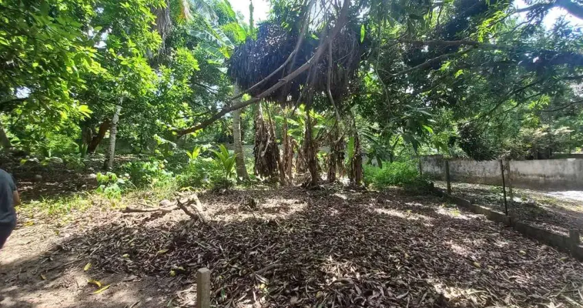 Terreno em condomínio de luxo na Praia do Forte, Mata de São João-BA: 894m² de oportunidade única!