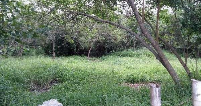 Terreno à venda na Avenida Edgar Pires de Castro, 11969, Aberta dos Morros, Porto Alegre