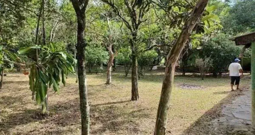 Sítio em Porto Alegre, no bairro São Caetano, à venda.