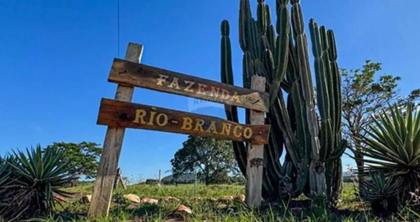 Fazenda à venda em rifaina-sp | 134 alqueires | renda com cana e pasto | beira rio grande