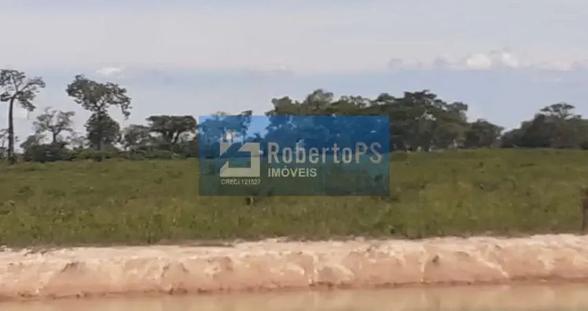 Espetacular fazenda  para plantação de arroz ou soja  localizada no Vão Paraná Estado de Goiás