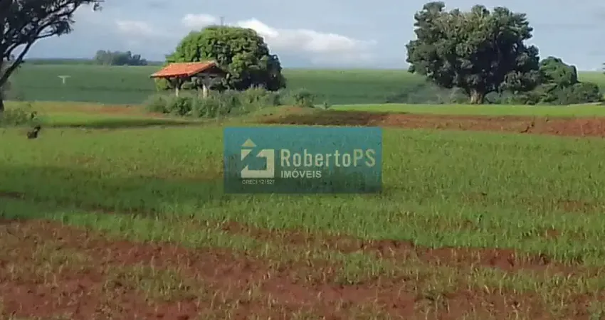Fazenda à venda com 104,5 alqueires próximo a Presidente Prudente