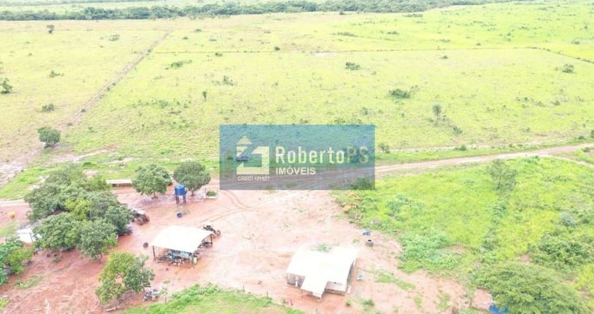 Fazenda com 1 sala à venda no Centro, Nobres 