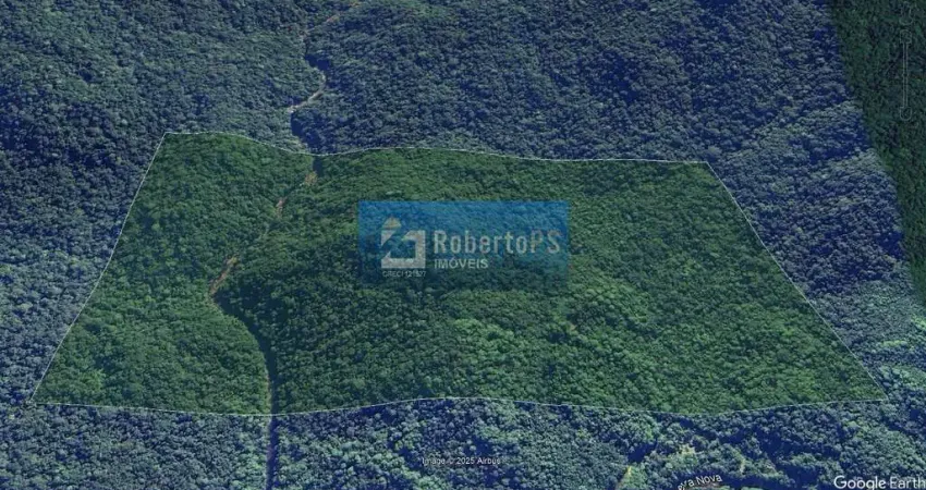 Fazenda à venda na Serra Negra, Guaraqueçaba