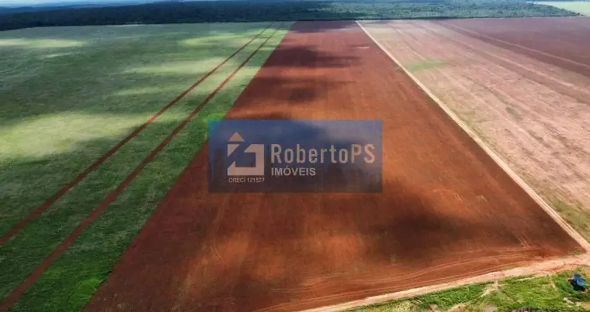 Fazenda água limpa região de paranatinga-mt área total da fazenda 3.360 hectares