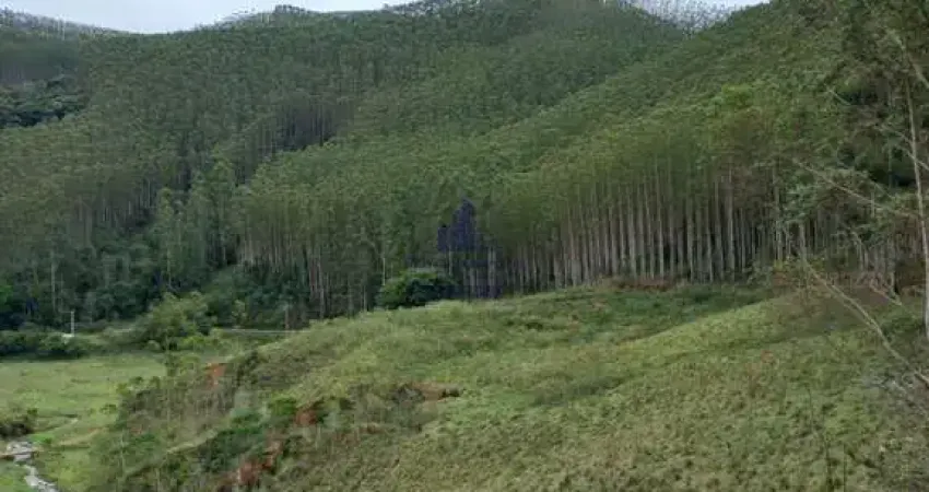 Chácara / sítio à venda em Catuçaba, São Luiz do Paraitinga 