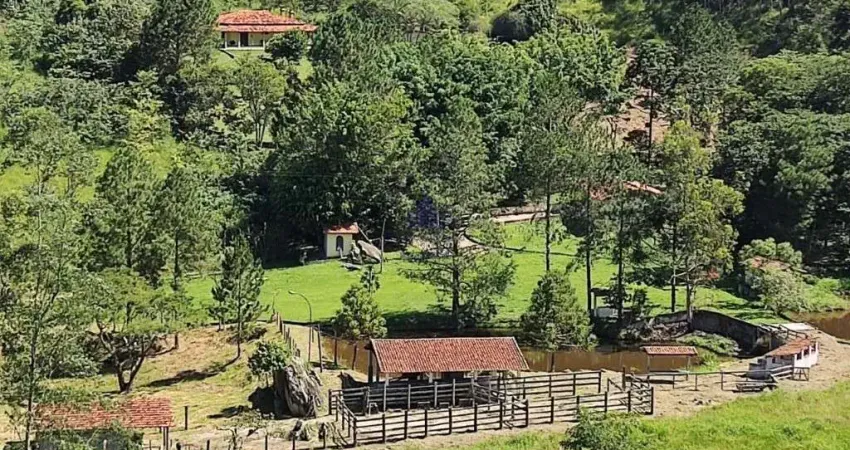 Fazenda luxuosa à venda em taubaté-sp, : 3 quartos, 1 suíte, 3 salas, 3 banheiros, 6 vagas de garagem em 4,50 alqueires.