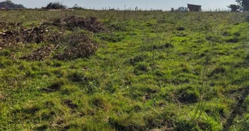 ÁREA RURAL 28,54 HECTARES PARA GADO OU PLANTIO - FA1251