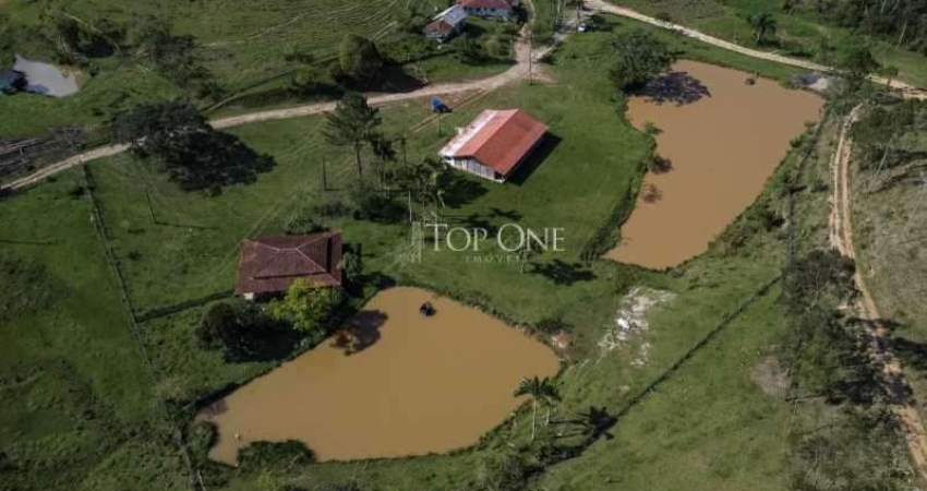 Fazenda com 3 salas à venda no São João, Itajaí 