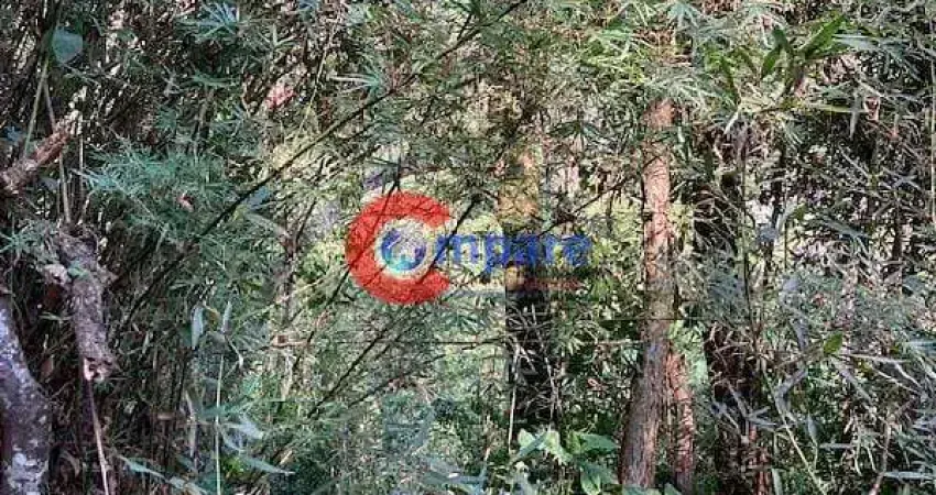 Terreno à venda na Via das Dálias, Jardim Colibri, Embu das Artes