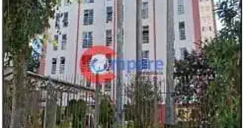 Apartamento à venda 3 Quartos, 1 Vaga, 113M², JARDIM DA CAMPINA, SAO PAULO - SP