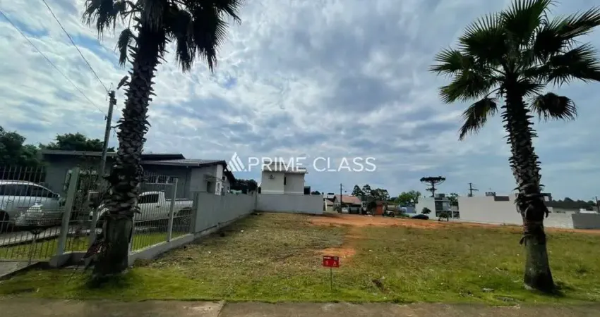 Terreno comercial à venda na Avenida Mendanha, Centro, Viamão