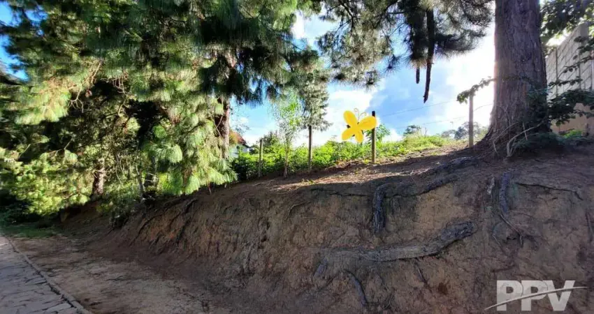 Terreno à venda na Rua Saint Moritz, Fazenda Suiça, Teresópolis