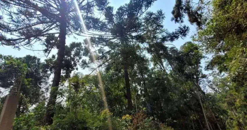 Terreno à venda no Posse, Teresópolis