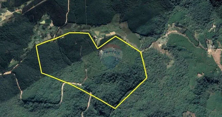 Chácara em tunas do paraná – investimento florestal de alto potencial