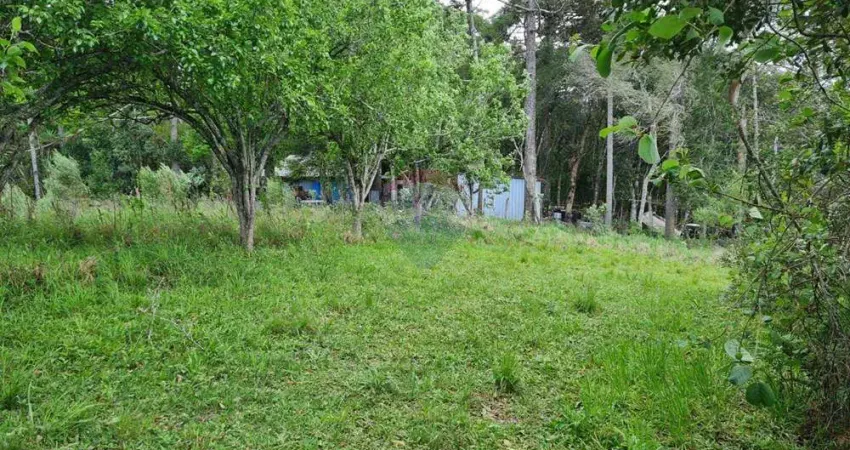 Chácara com 97.000m² na colônia murici, são josé dos pinhais