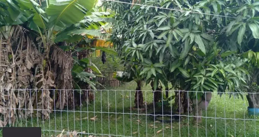 Sítio 3 dormitórios à venda Passo do Vigário Viamão/RS