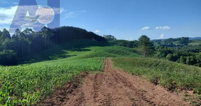 Área à venda em Bateias de Baixo - Campo Alegre/SC, Rural