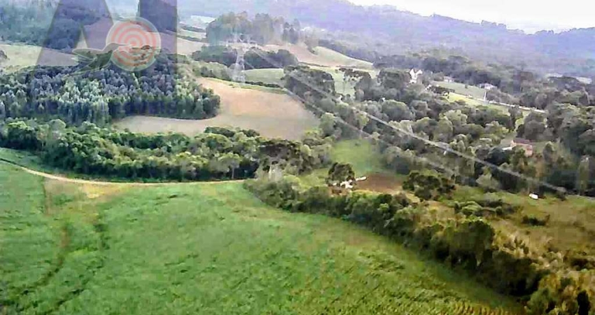 Terreno à venda no Bateias de Baixo, Campo Alegre 