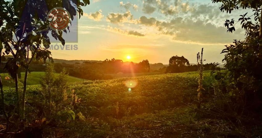 Terreno à venda no Bateias de Baixo, Campo Alegre 