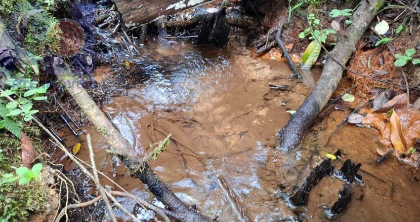 Terreno à venda na Estrada principal Ribeirão do Meio, Ribeirão do Meio, Campo Alegre