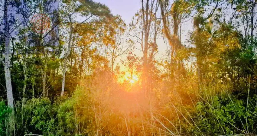 Terreno à venda na Estrada principal Ribeirão do Meio, Ribeirão do Meio, Campo Alegre
