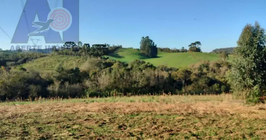 Chácara / sítio com 1 quarto à venda na ESTRADA SECUNDARIA EM BATEIAS DE BAIXO, Bateias de Baixo, Campo Alegre