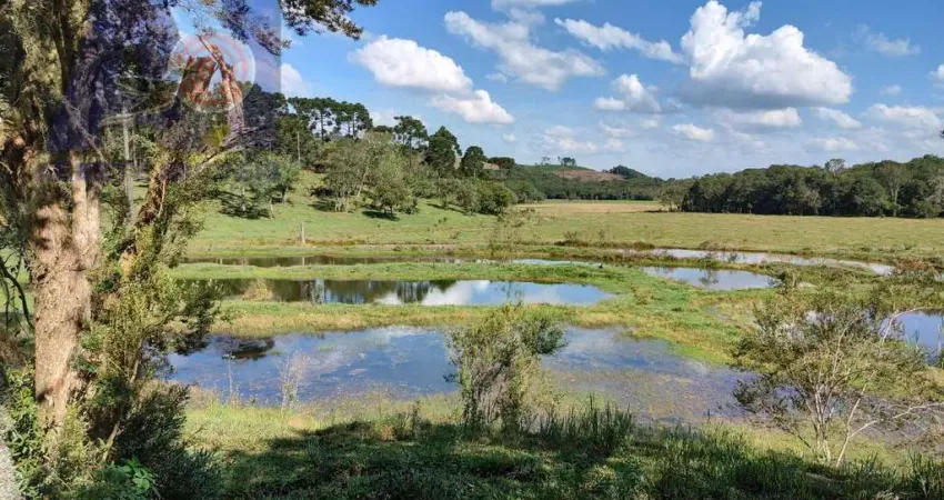 Chácara / sítio com 3 quartos à venda no Bateias de Baixo, Campo Alegre