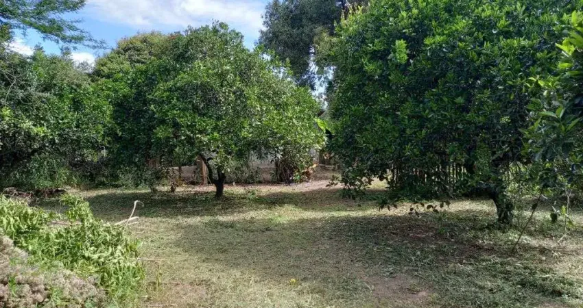 Sitio Estrada do Socorro Bairro Socorro Municipio de Portão RS