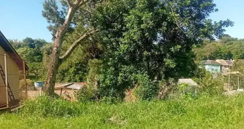 Terreno à venda na Rua C Vale Verde, --, Centro, Nova Santa Rita