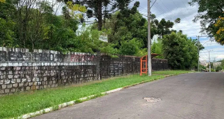 TERRENO 1.980,00M² 66,00M FRENTE x 30,0M FUNDOS AV JOÃO LEIVAS DE CARVALHO